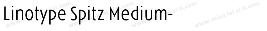 Linotype Spitz Medium字体转换